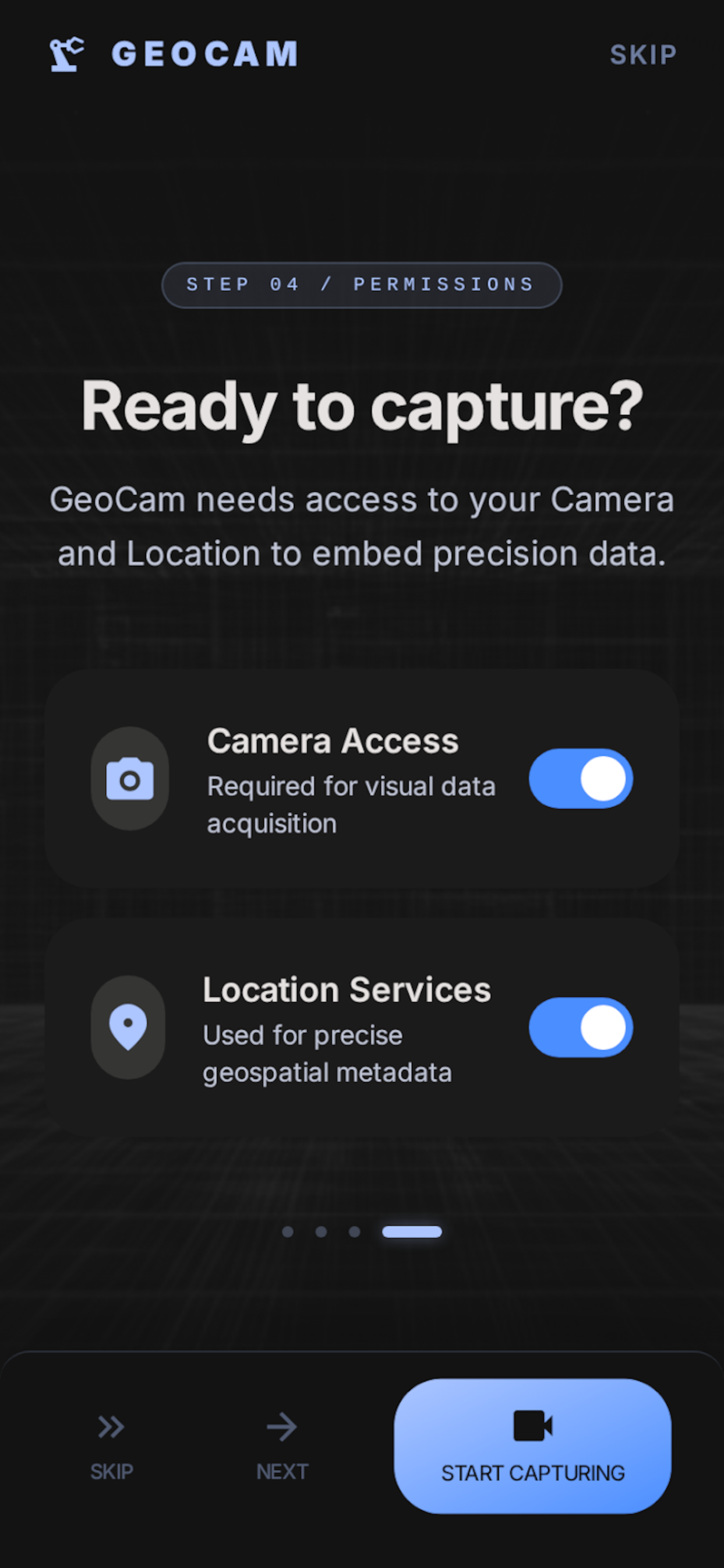 Map style and visual preset options.